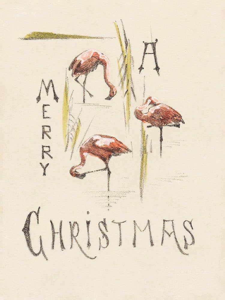 Christmas Card With Three Flamingos , Theo Van Hoytema