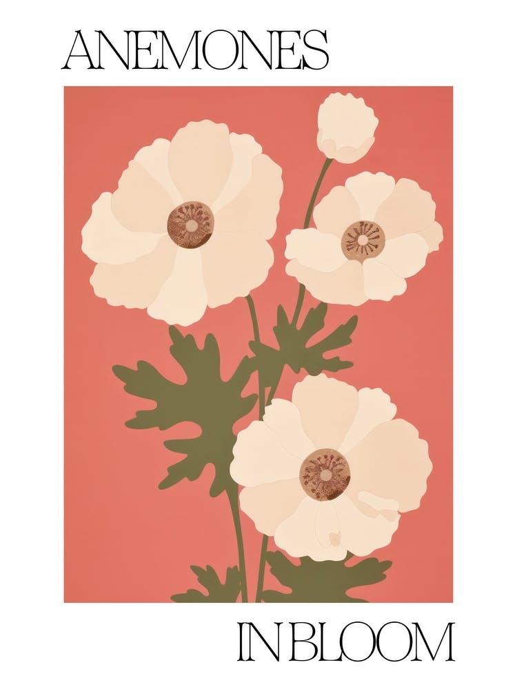 Anemones In Bloom Flowers Bold Illustration 4