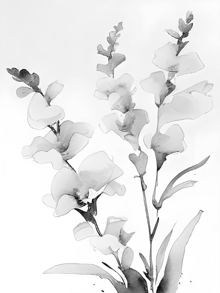 Black And White Flowers 8