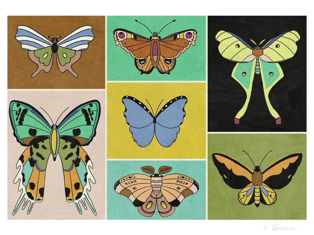 Butterflies