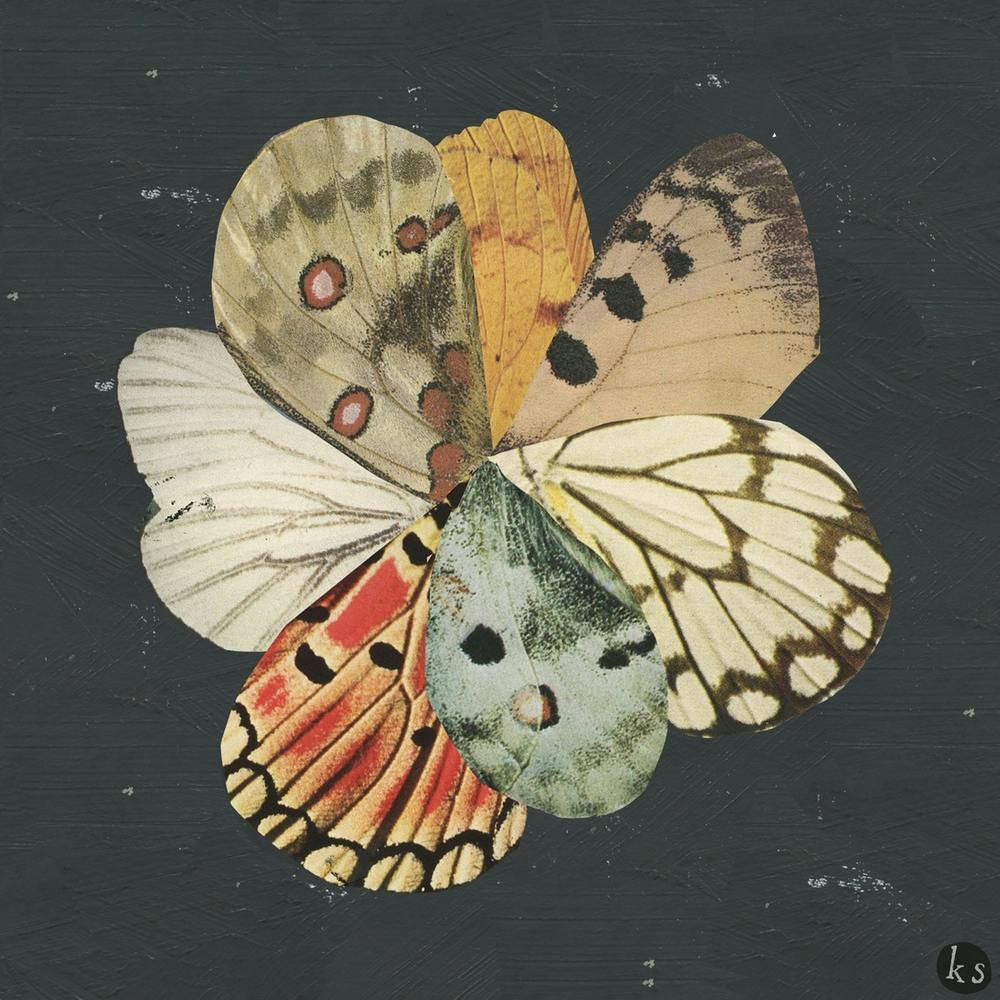 Butterfly Wing Flower Collage