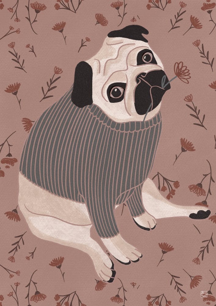 Pug With Pink Tones