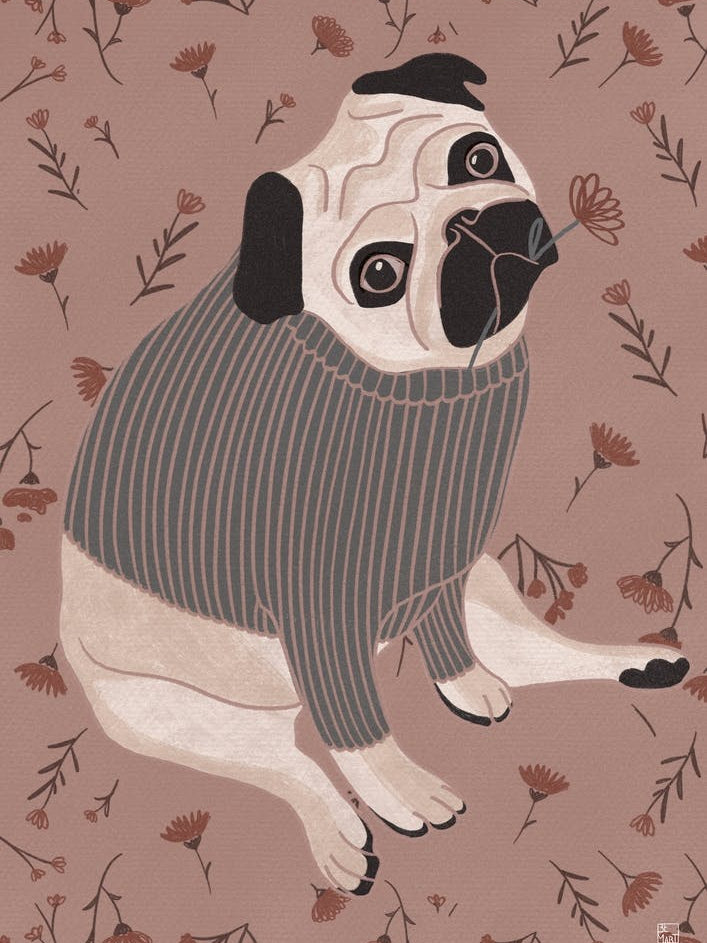 Pug With Pink Tones