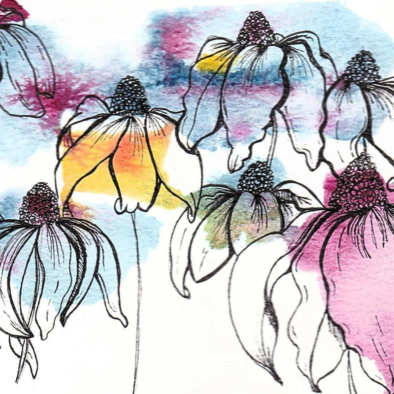 Watercolor Echinacea