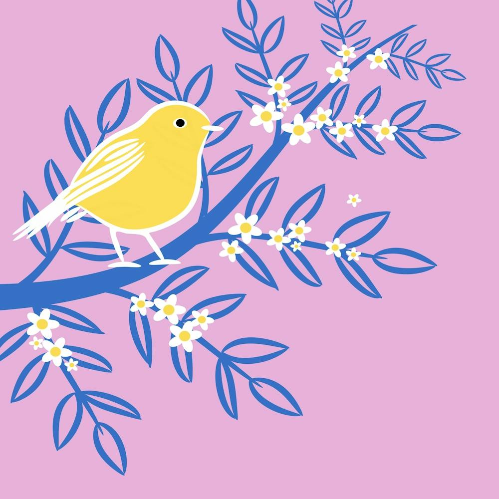 Floral Bird Nature Branch