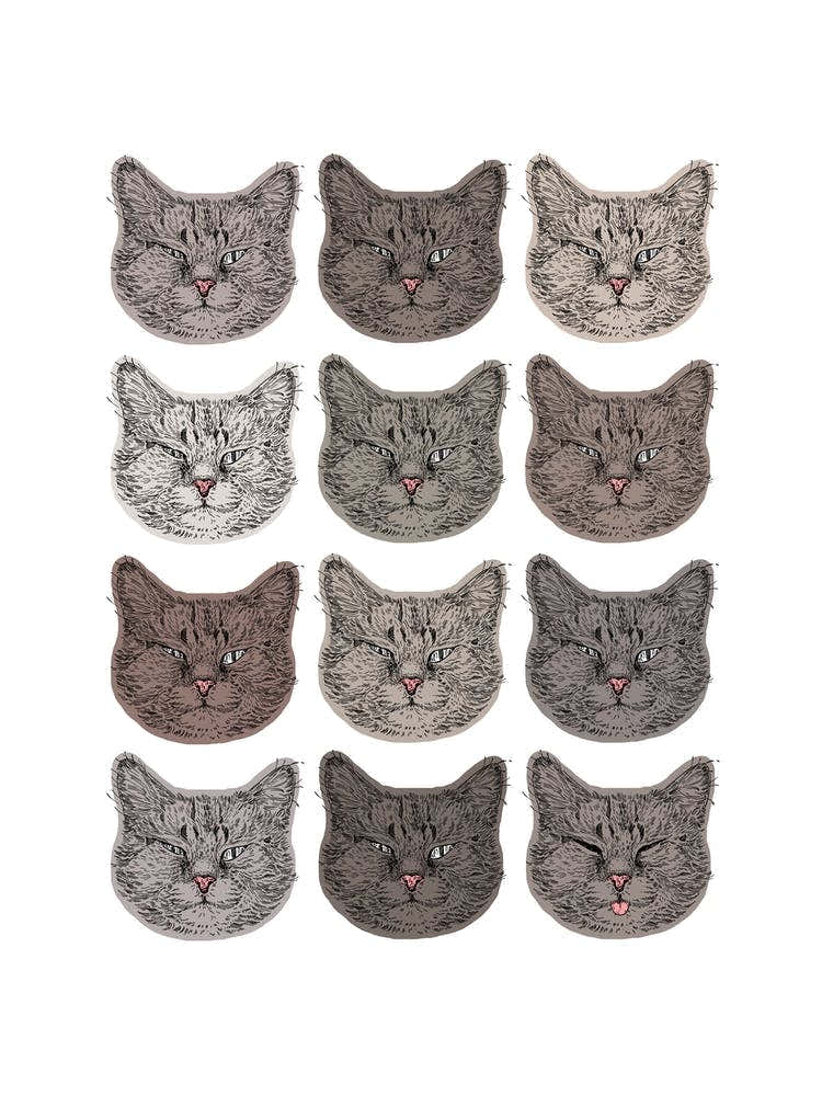 Cute Grey Cats