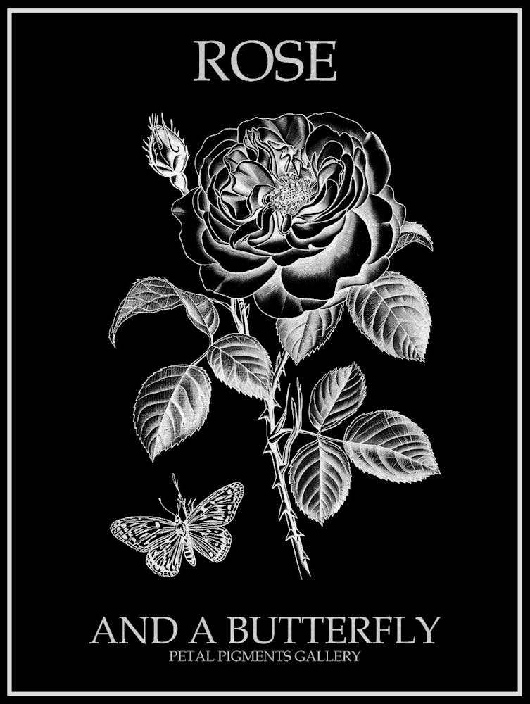 Schmetterling Rose Strichzeichnung 2 Poster Invertiert