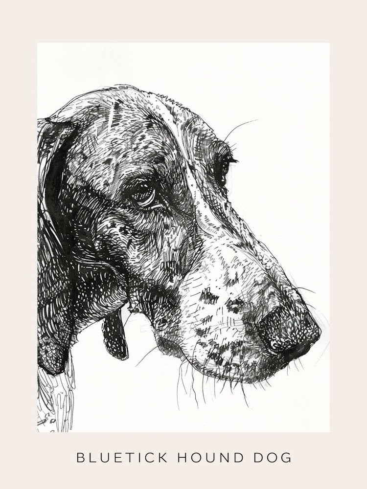 Bluetick Hound Dog Line Sketch 3 Poster