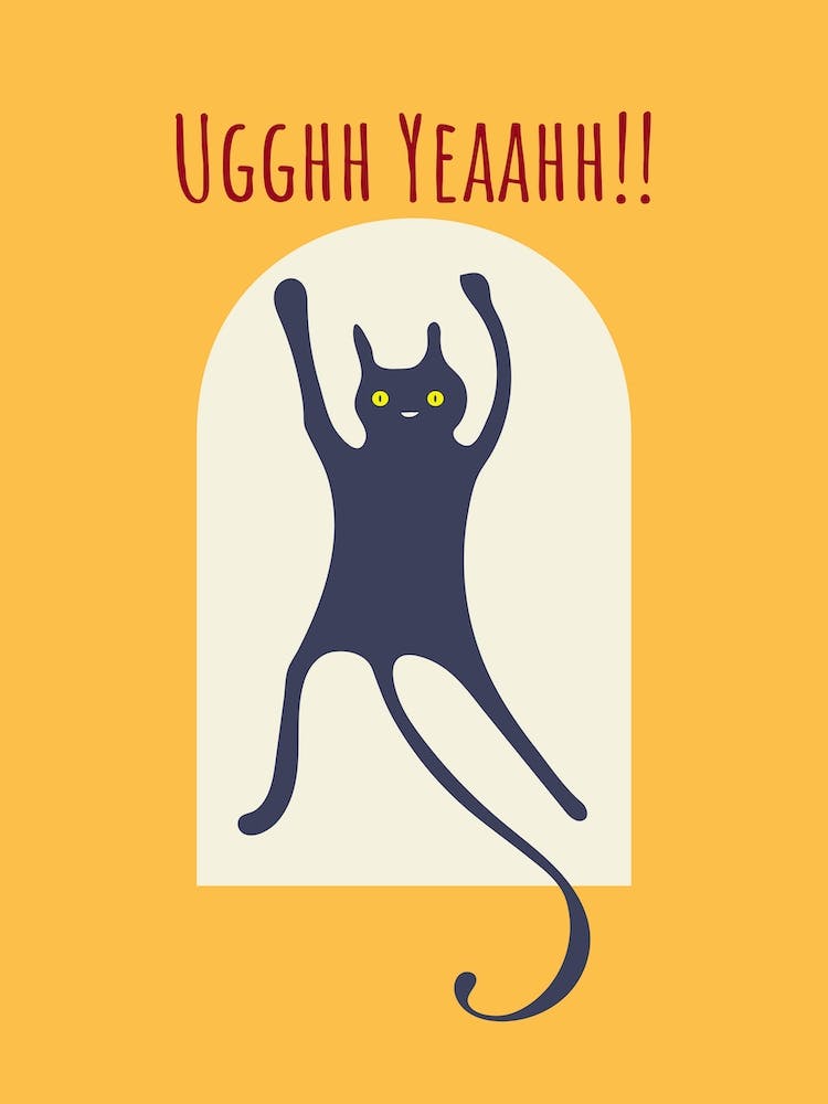 Funny Cat Celebrate