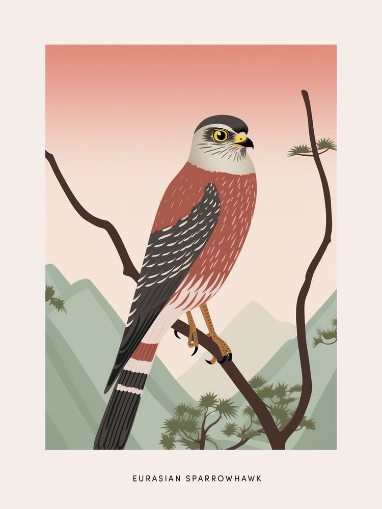 Minimalist Eurasian Sparrowhawk 2 Bird Poster