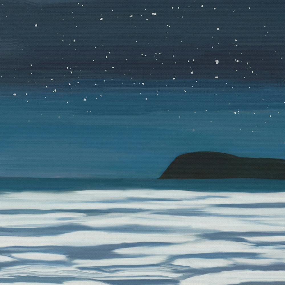 Landscape A Starry Night