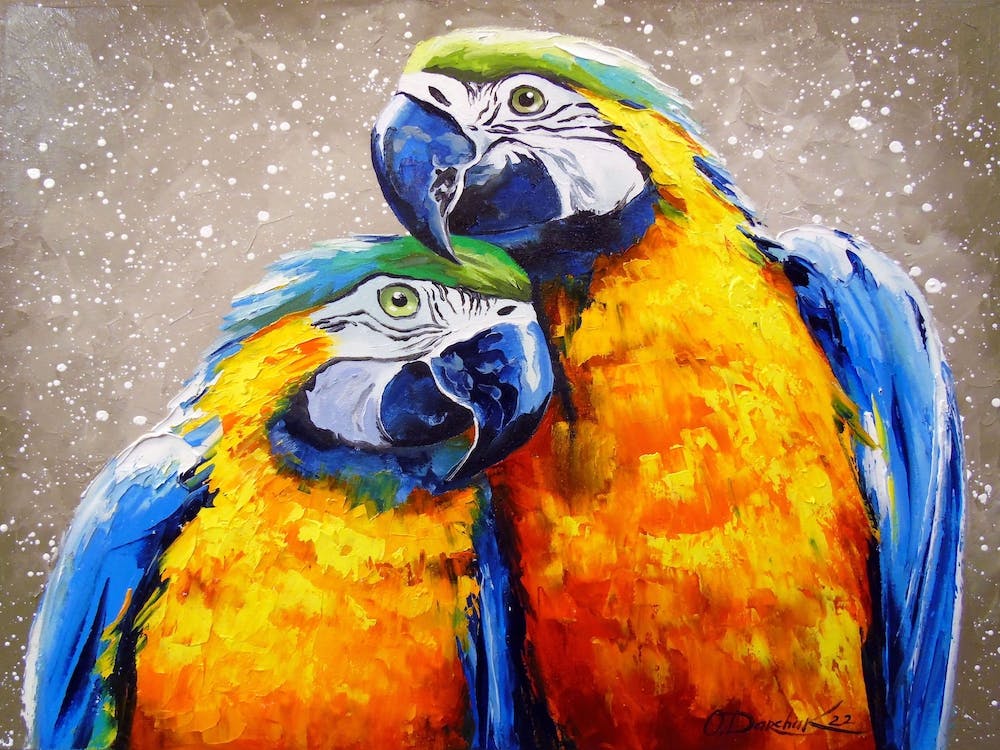 parrot love