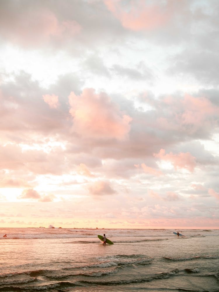 Nosara Surfer
