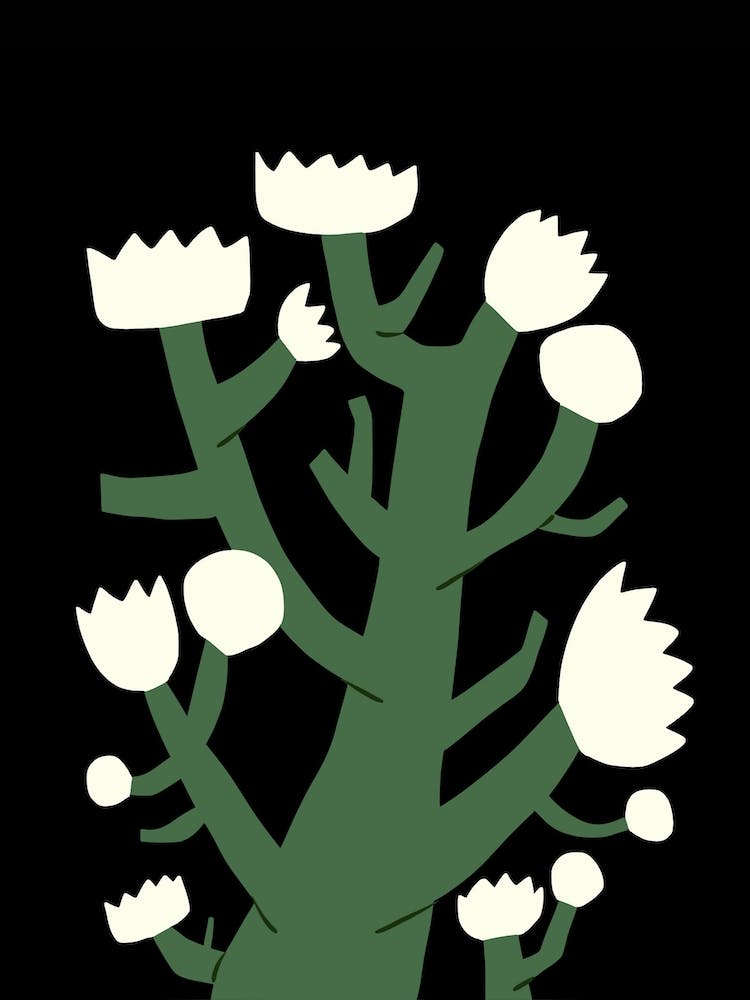 White Bloom