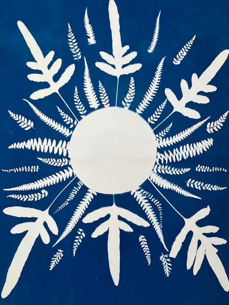 Sun-shaped Ferns And Leaves