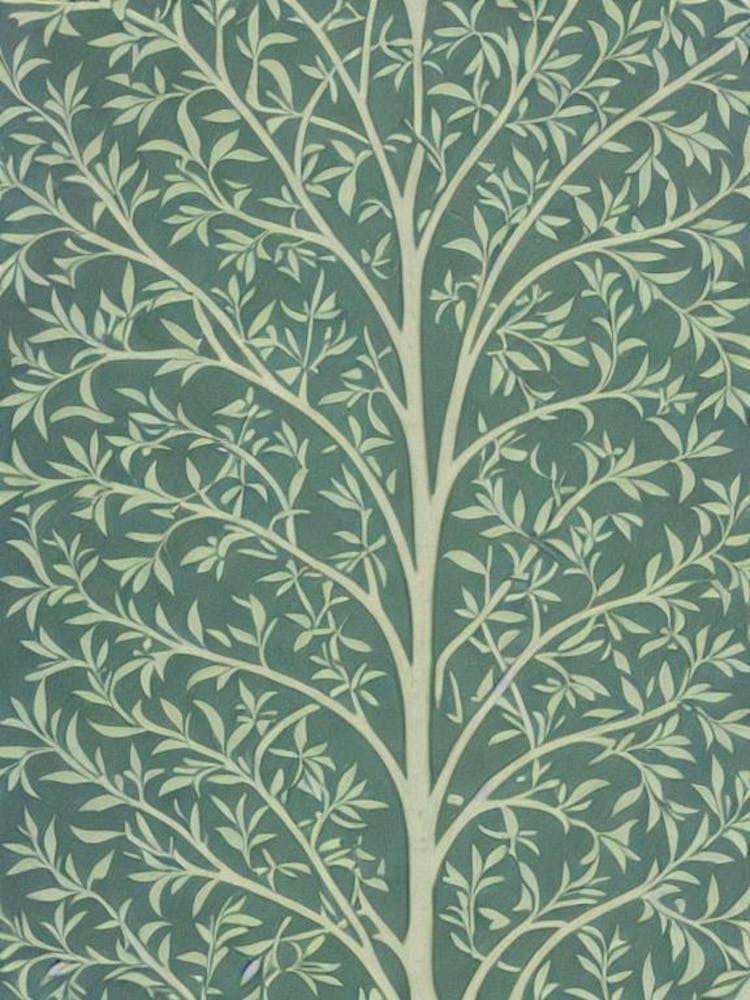 Willow Oak tree Vintage Botanical