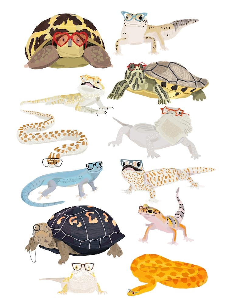 Reptiles In Glasses