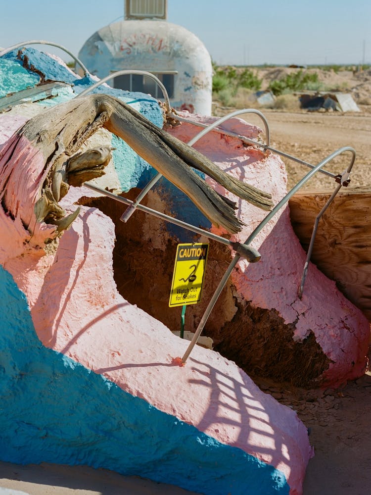 California Desert Snake on Film