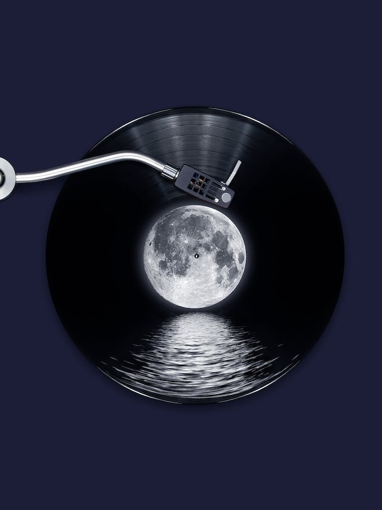 Moonlight Rhapsody