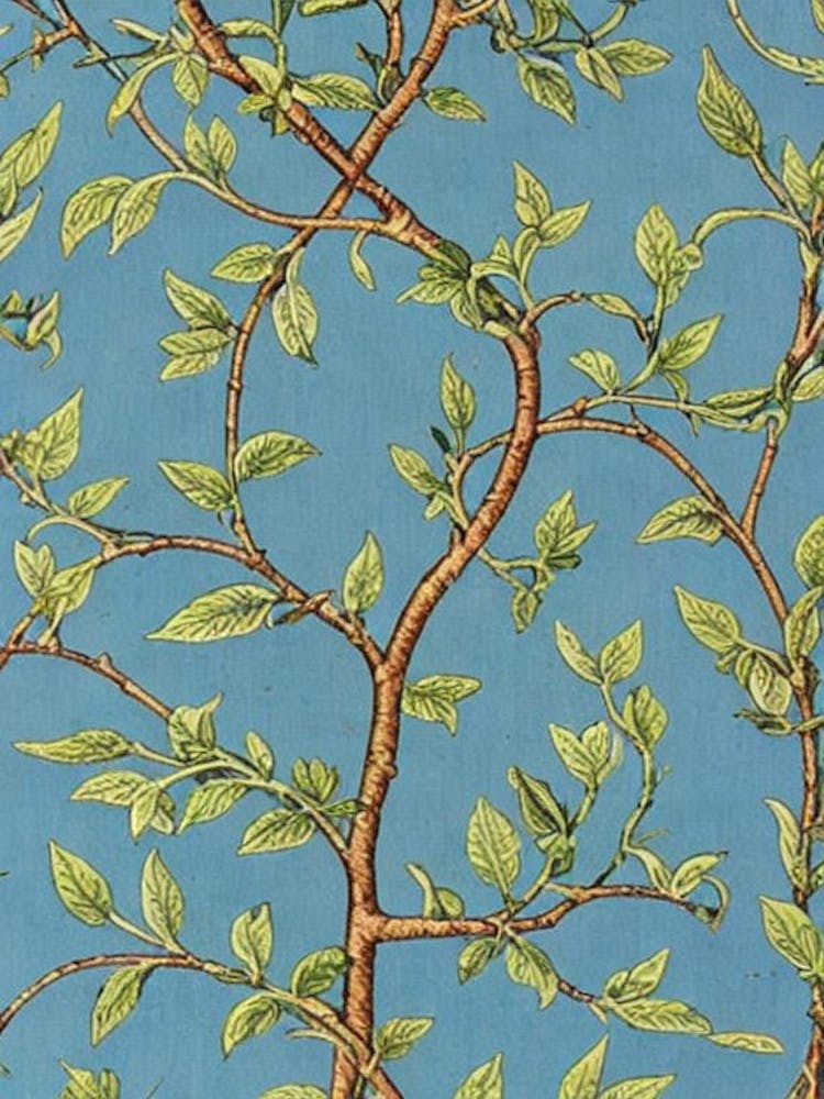 Cinnamon Tree 2 tree Vintage Botanical