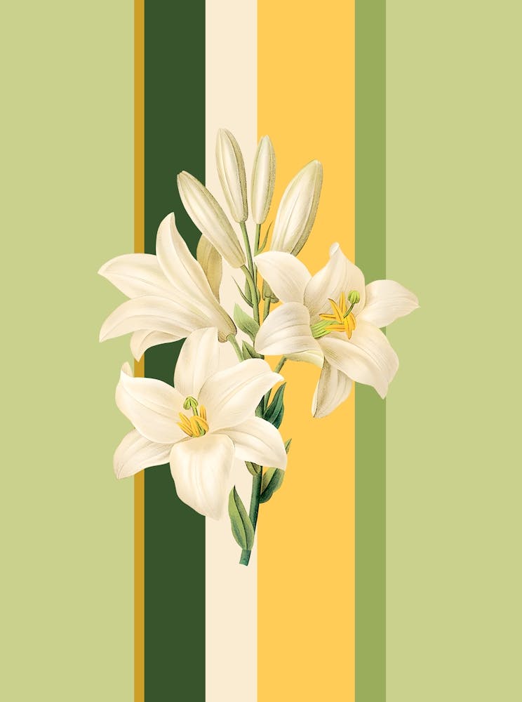 Belle Botanica 4 Lilies 1