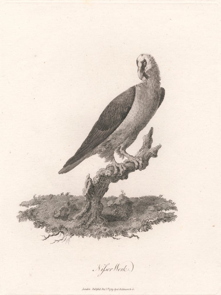 Nisser Werk, James Heath