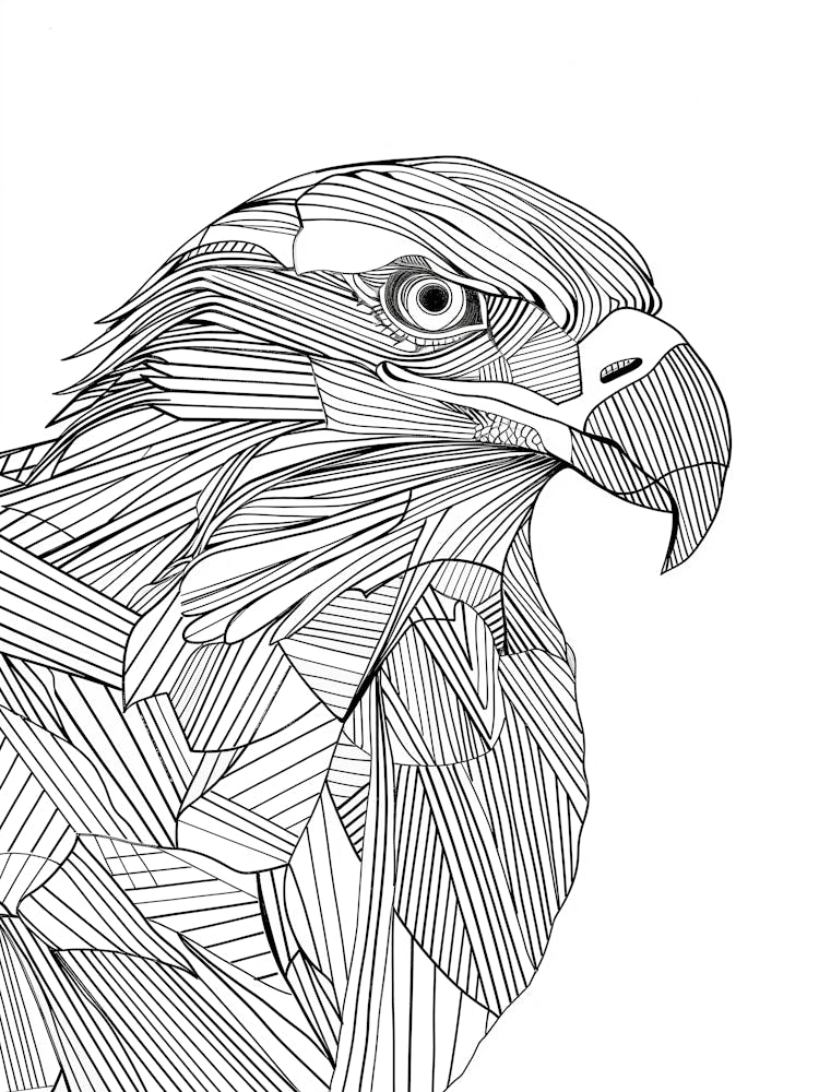 Eagle animal lines art