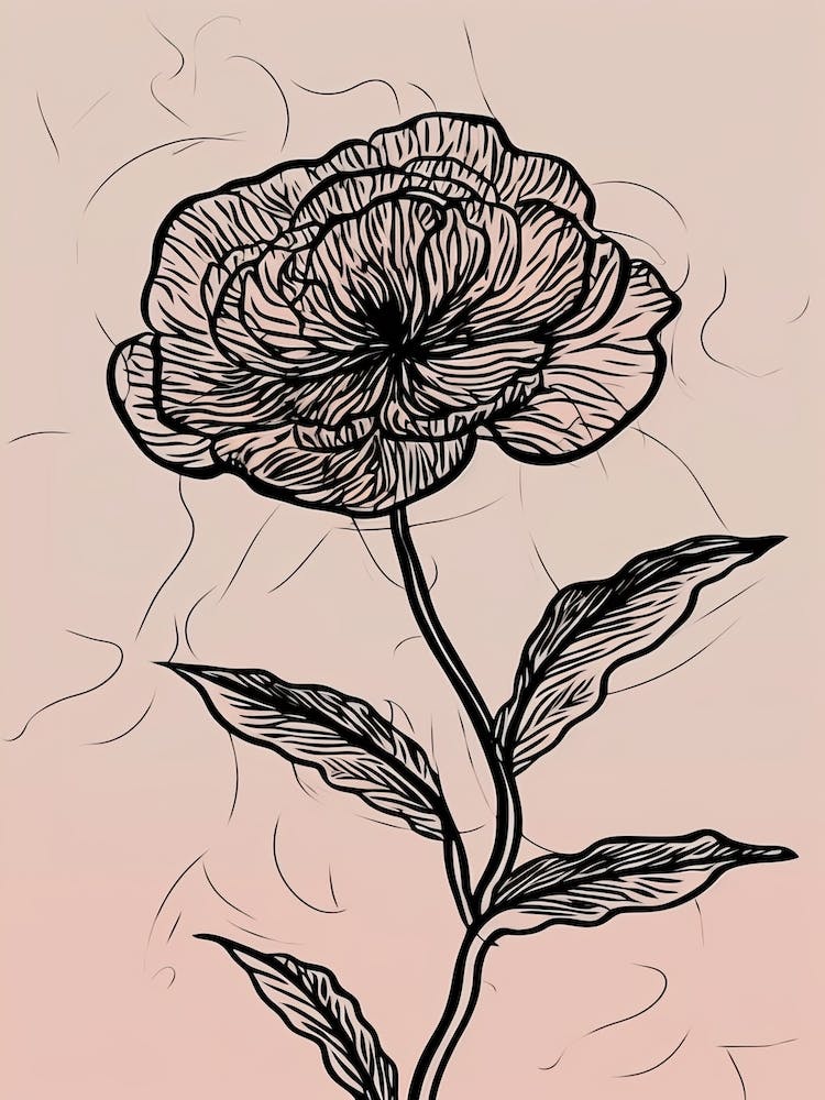 Line Art Marigold Flowers Illustration Neutral 13