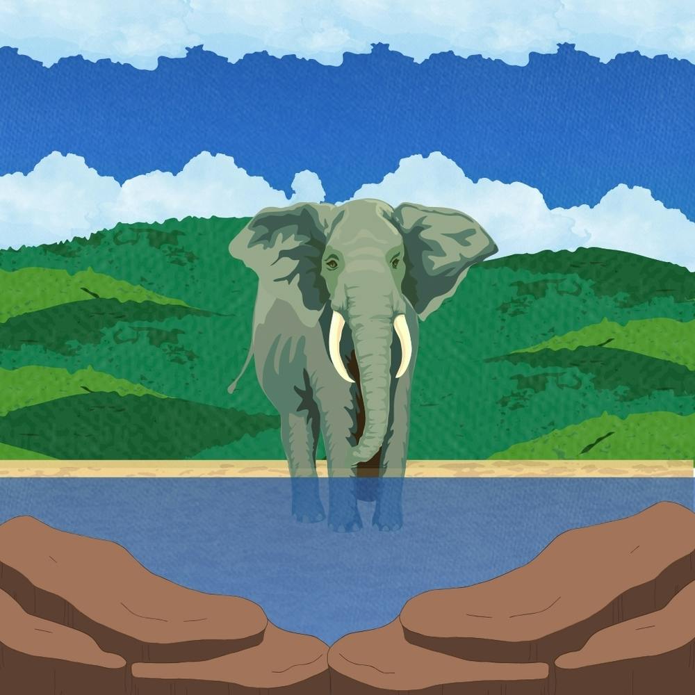 Elephant In The Water