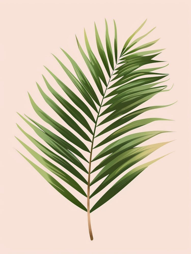 Palm Leaf 7