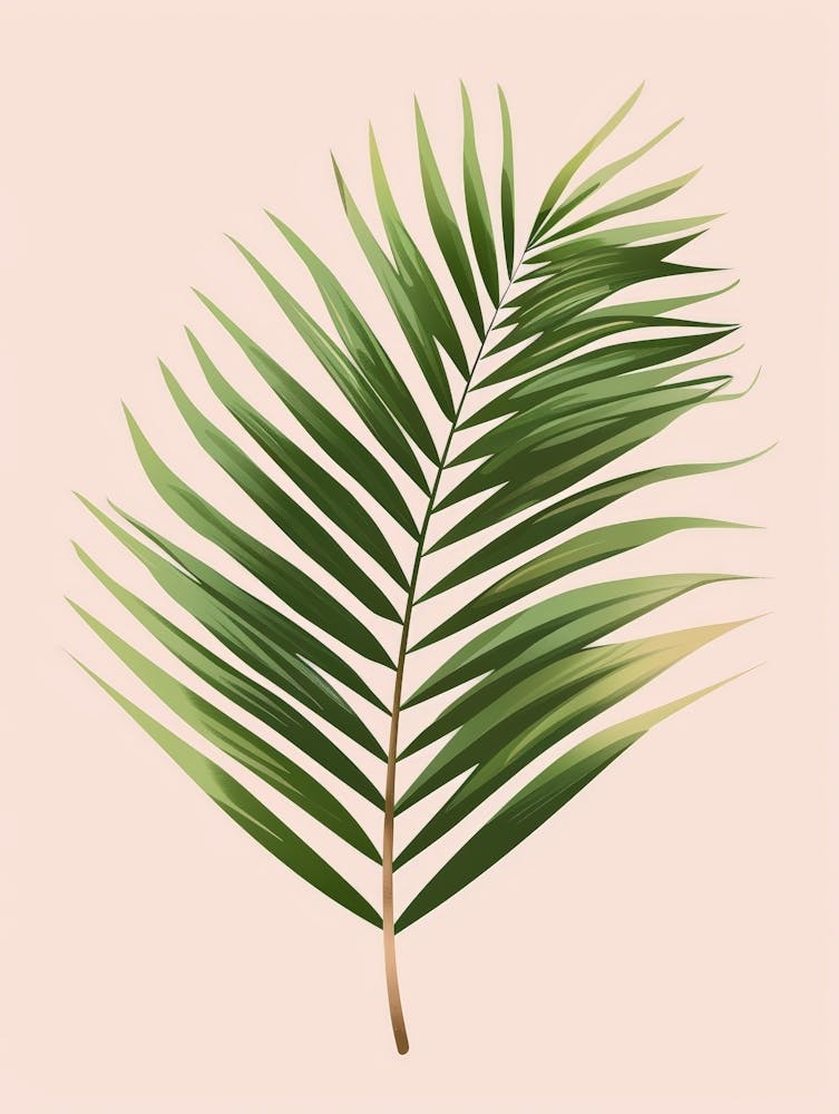 Palm Leaf 7