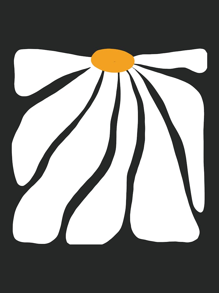 Daisy 1