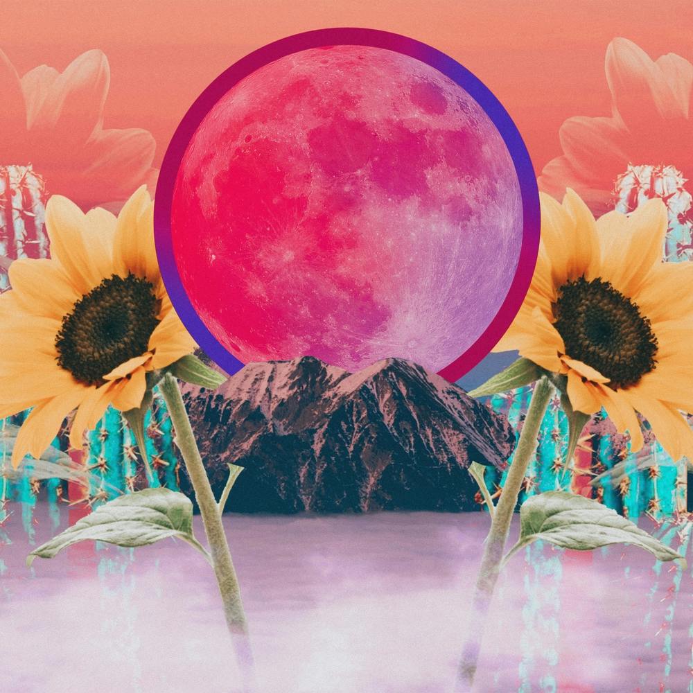 Desert Sunflower Moon Collage Square