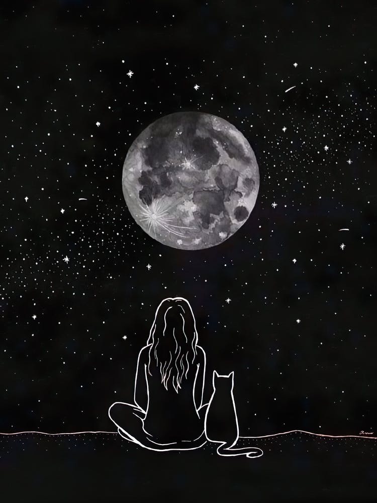 Moon And Cat