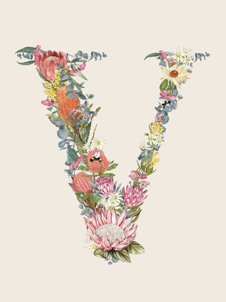 V Oat Alphabet Letter