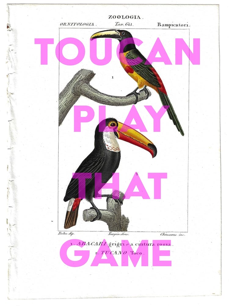 Toucan Play That Game Vintage