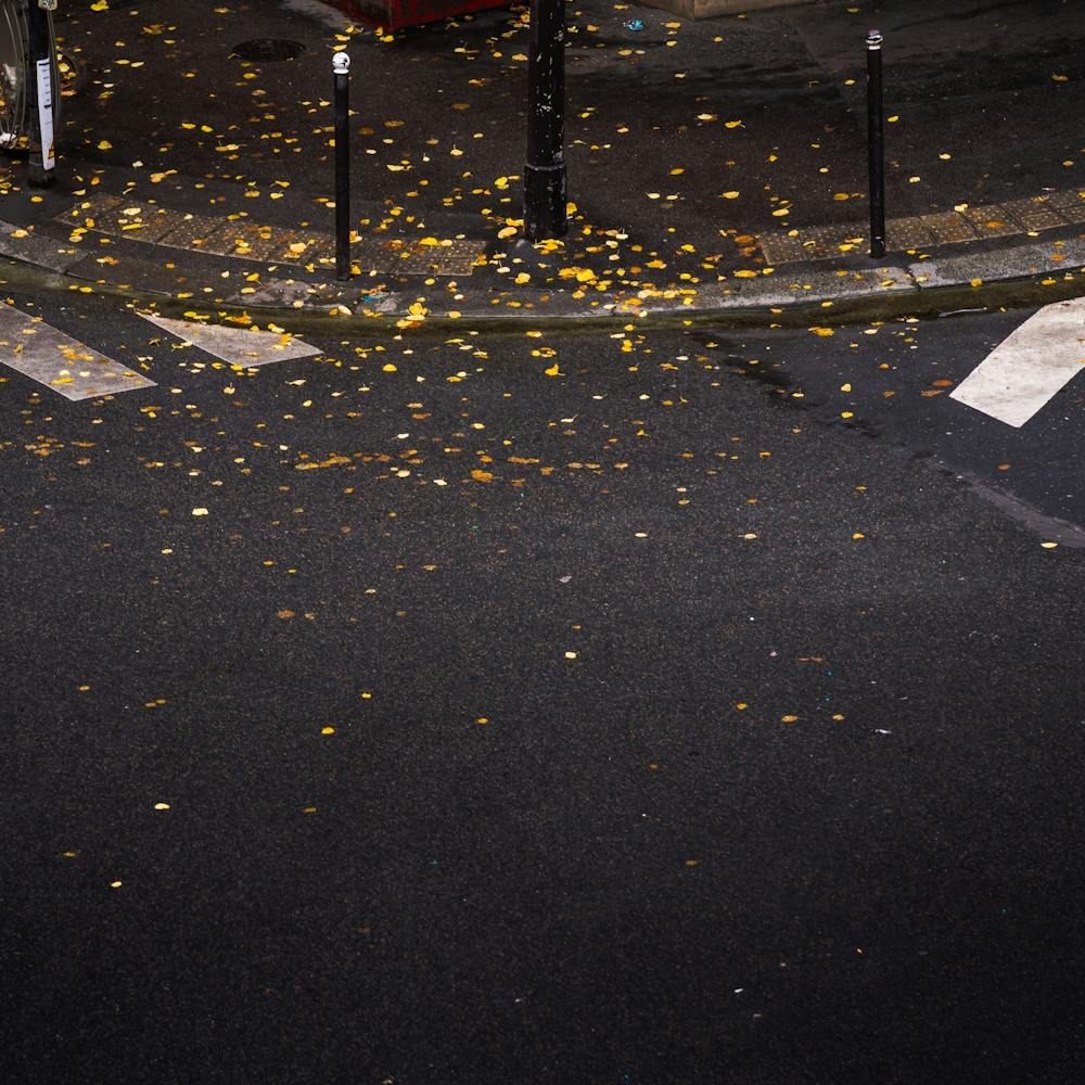 Streets of Monte Marte
