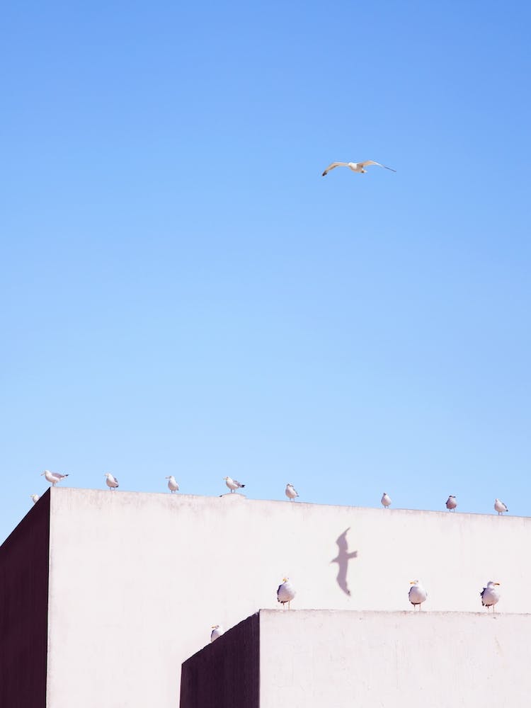 Business Meeting