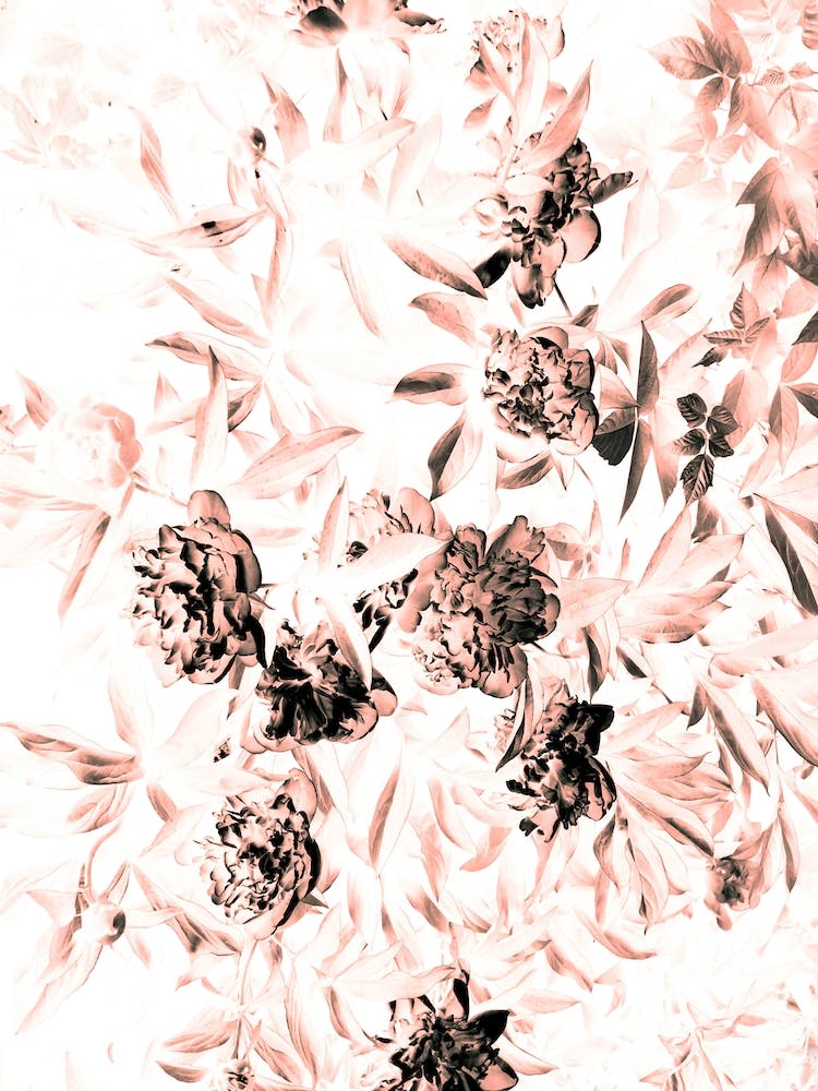 Florales nach Einbruch der Dunkelheit gebleicht