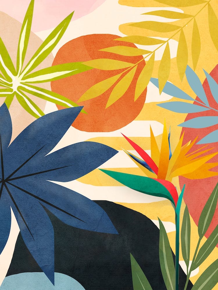 Garden In The Sunshine 4