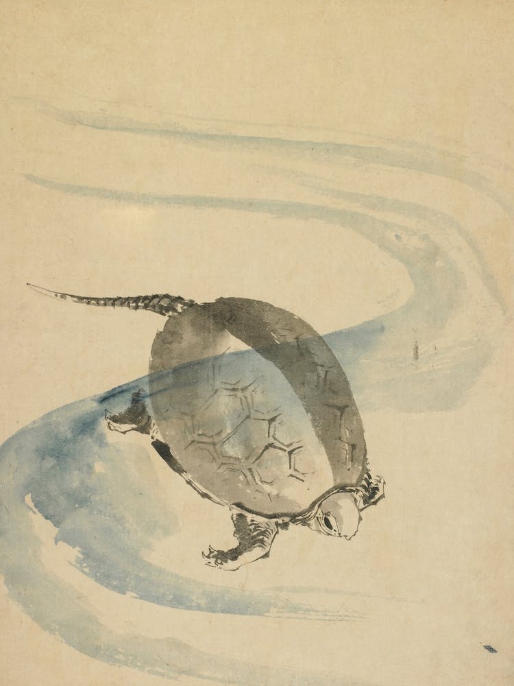 A Tortoise, Katsushika Hokusai