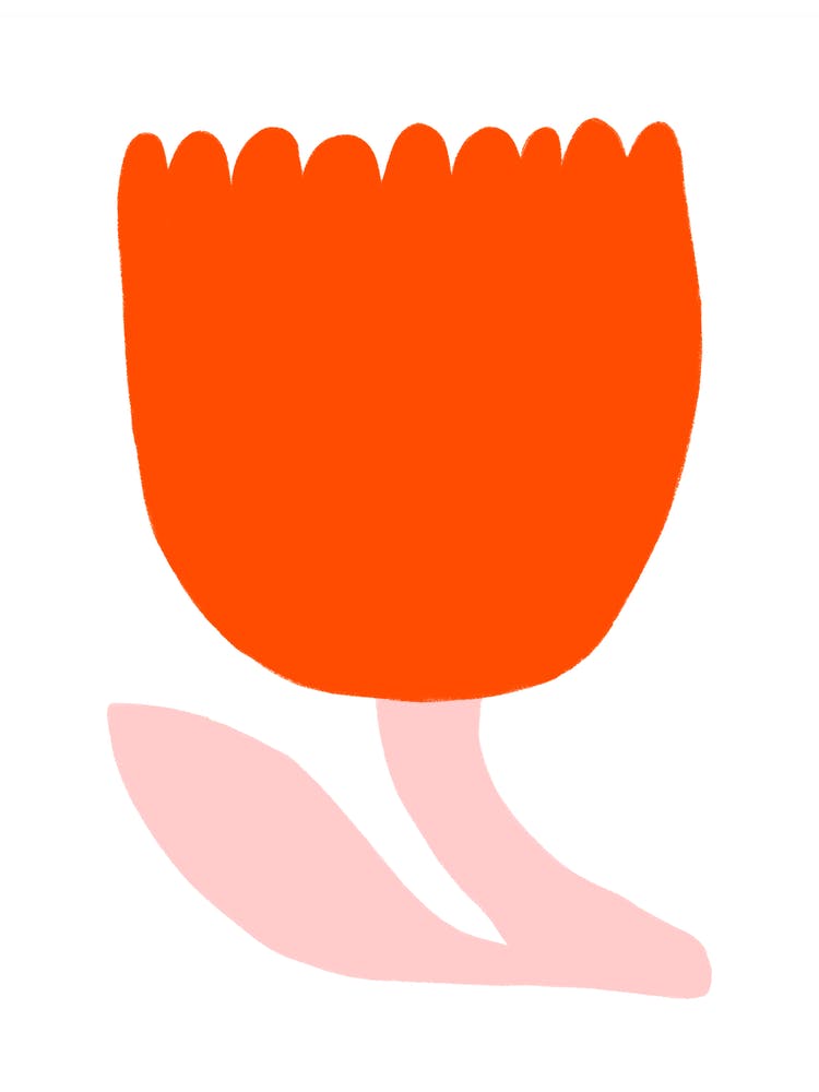 Minimale rot-pinke Tulpenillustration