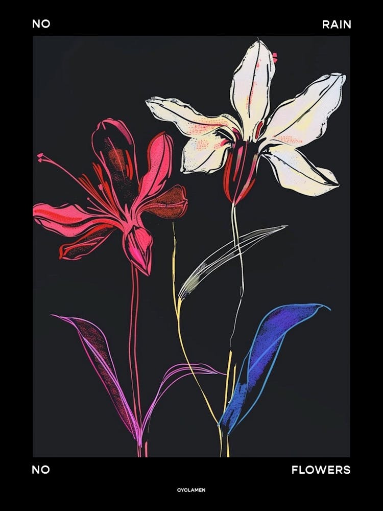 No Rain No Flowers Poster Cyclamen 4