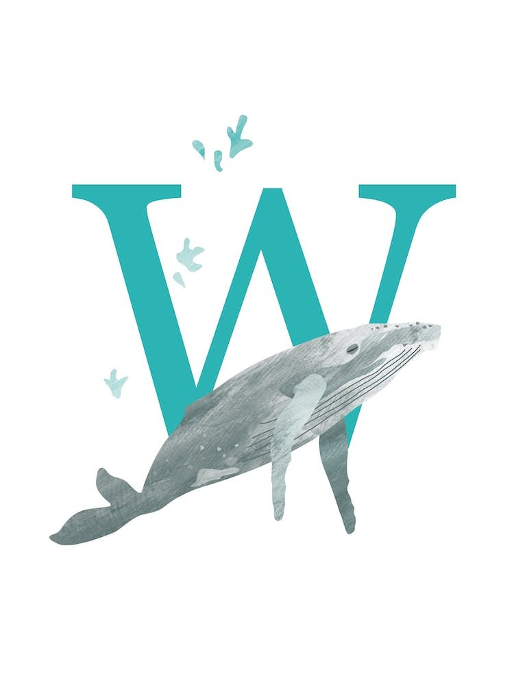 W For Whale