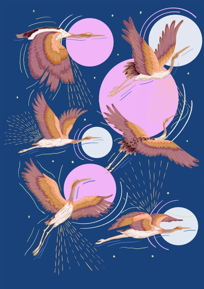Japanese Inspired Crane Bird Illustration