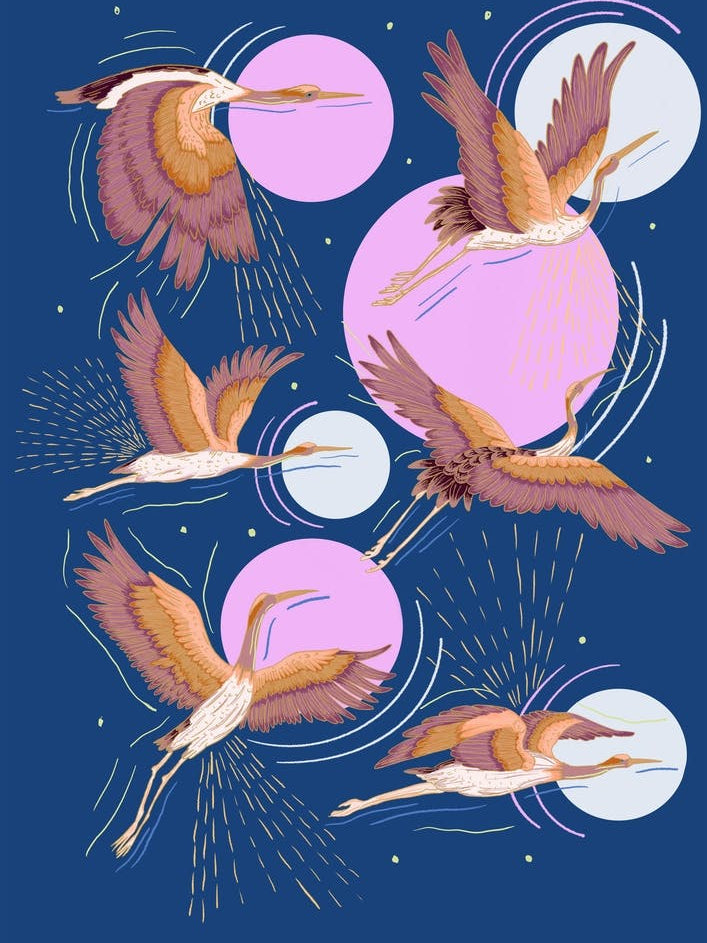 Japanese Inspired Crane Bird Illustration