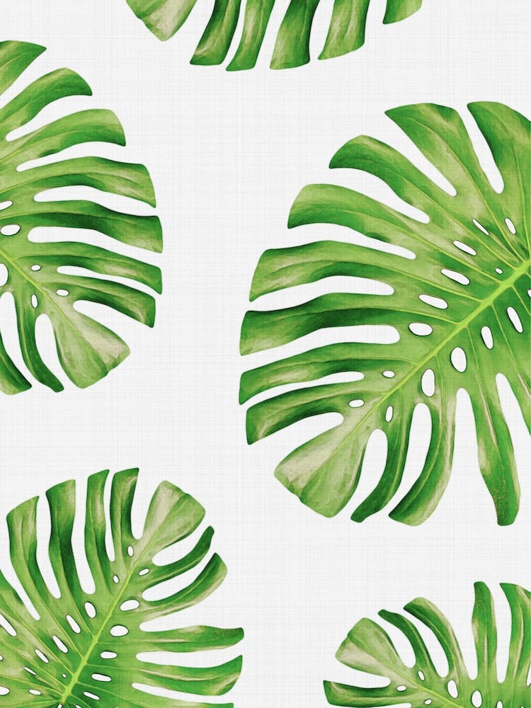 Tropical 1