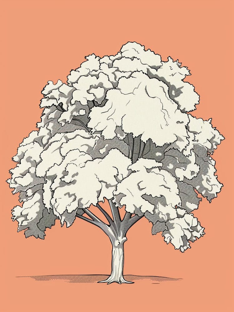 Chestnut Tree Minimalistic Drawing 3