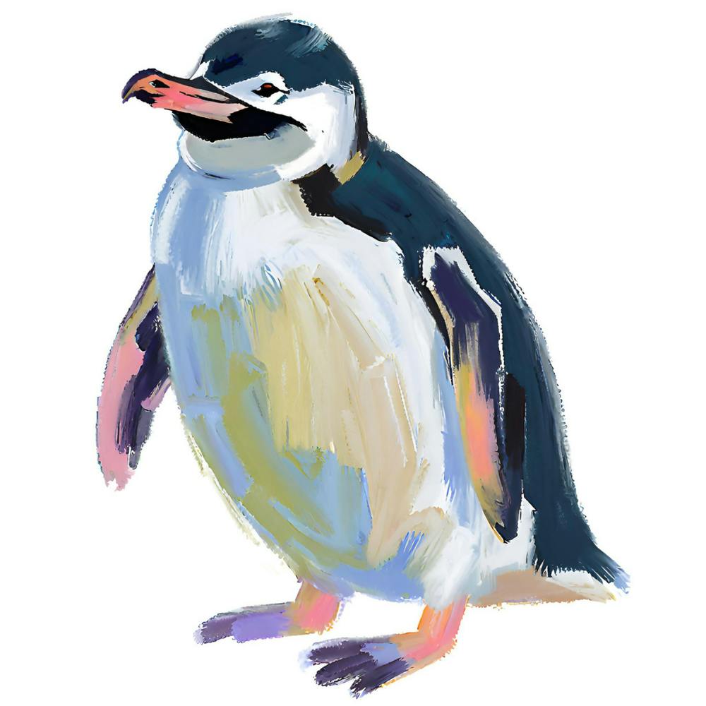Chinstrap Penguin 06