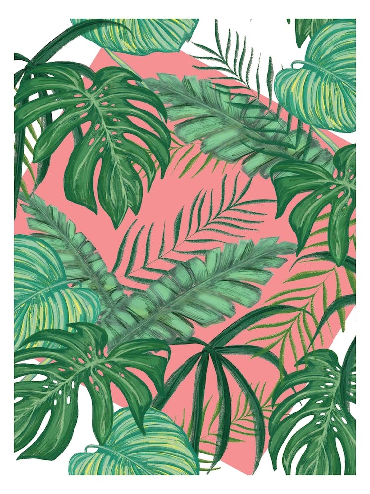 Funky Green Leaves with Pink Background